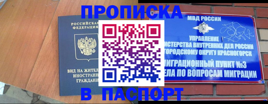 найти адрес прописки в Снежногорске